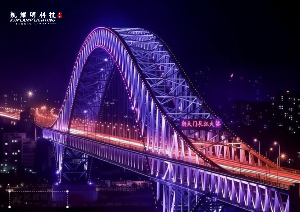 城市立交桥梁亮化工程立交桥灯光效果图 道路照明悬索桥亮化效果实拍3.png